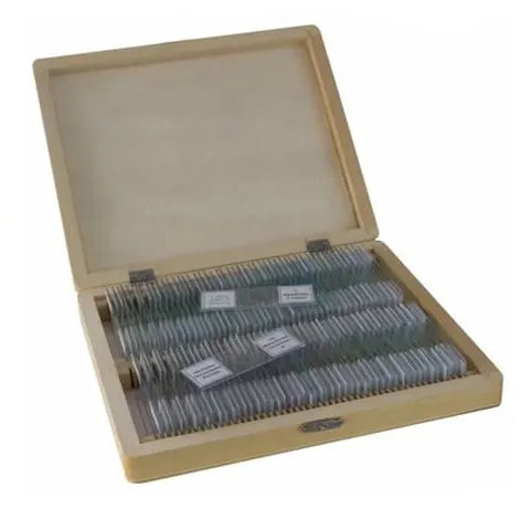 Lamă microscop, 100 buc.
