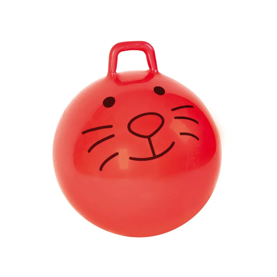 Minge Nowa Szkola cu mâner, diametru 55 cm