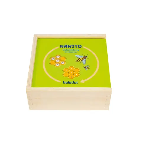 Puzzle Beleduc Dezvoltarea ciclului vieții, din lemn