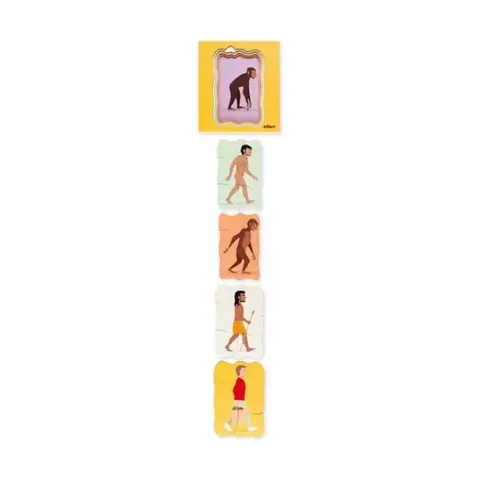 Puzzle Nowa Szkola Evoluția Omului, stratificat