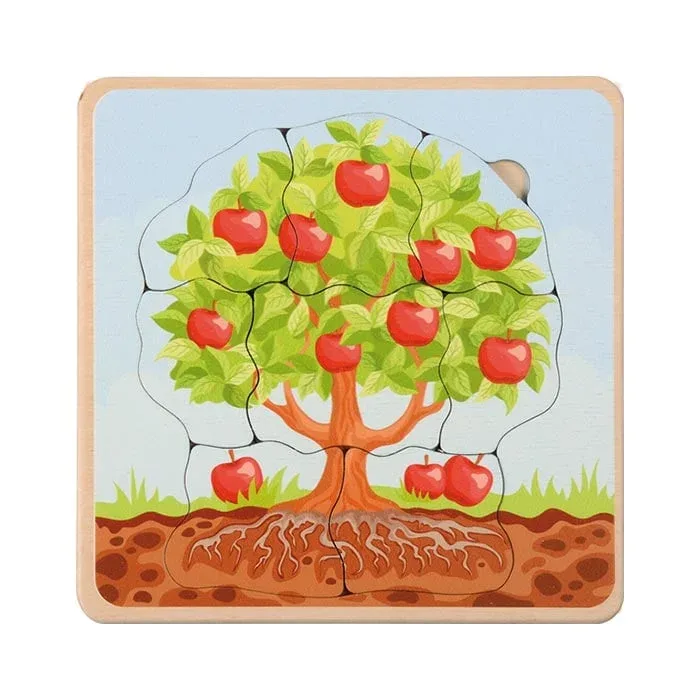Puzzle stratificat Eduplay Ciclu de viață al mărului, din lemn