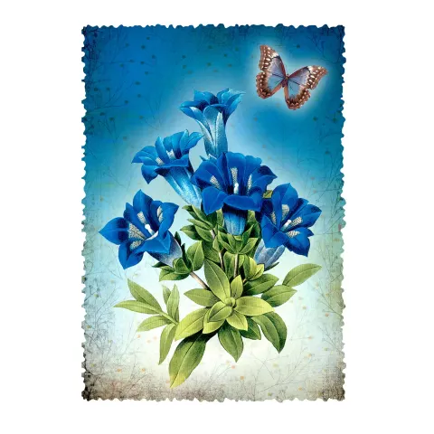 Gespaensterwald Card, Romantique, floare