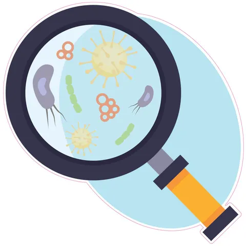 Sticker STEM, Științe Naturale – Biologie, set F1, 50 cm, sticker 3