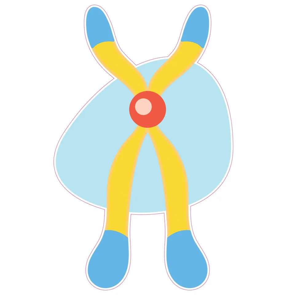 Sticker STEM, Științe Naturale - Biologie, set F1, 50 cm, sticker 8