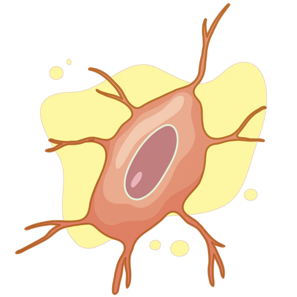 Sticker STEM, Științe Naturale – Biologie, set F2, 50 cm, sticker 6