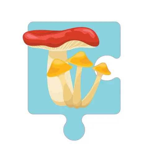 Sticker STEM, Științe Naturale – Biologie, set F3, 50 cm, sticker 1