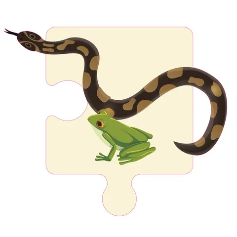 Sticker STEM, Științe Naturale – Biologie, set F3, 50 cm, sticker 3