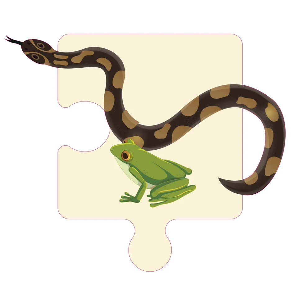 Sticker STEM, Științe Naturale – Biologie, set F3, 50 cm, sticker 3