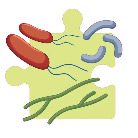 Autocolant STEM, Științe Naturale - Biologie, Set F3, 50 cm, Autocolant 5