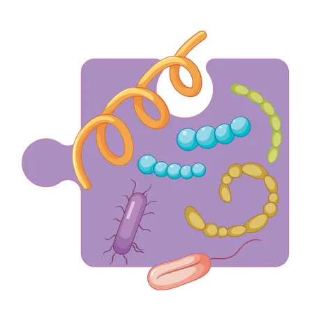Sticker STEM, Științe naturale - Biologie, set F3, 50 cm, sticker 6