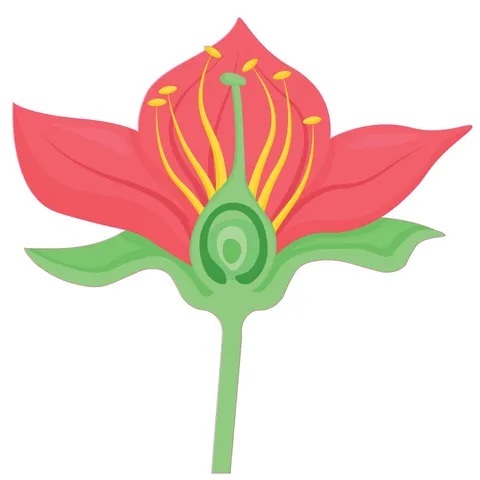 Sticker STEM, Științe Naturale - Biologie, Set F3, 50 cm, Sticker 7