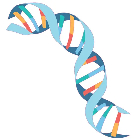 Sticker STEM, Științe Naturale – Biologie, set F3, 50 cm, sticker 9
