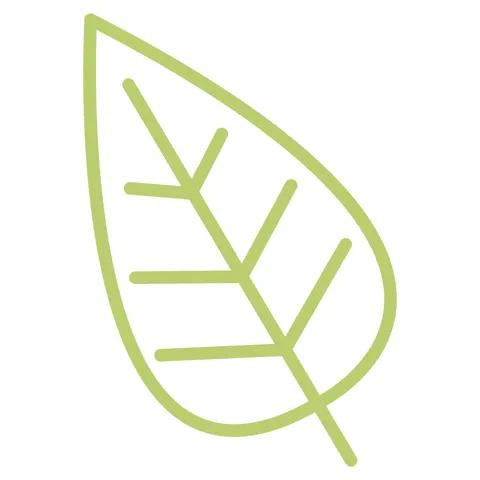 Sticker STEM, Științe Naturale - Biologie, set F5, 50 cm, sticker 5