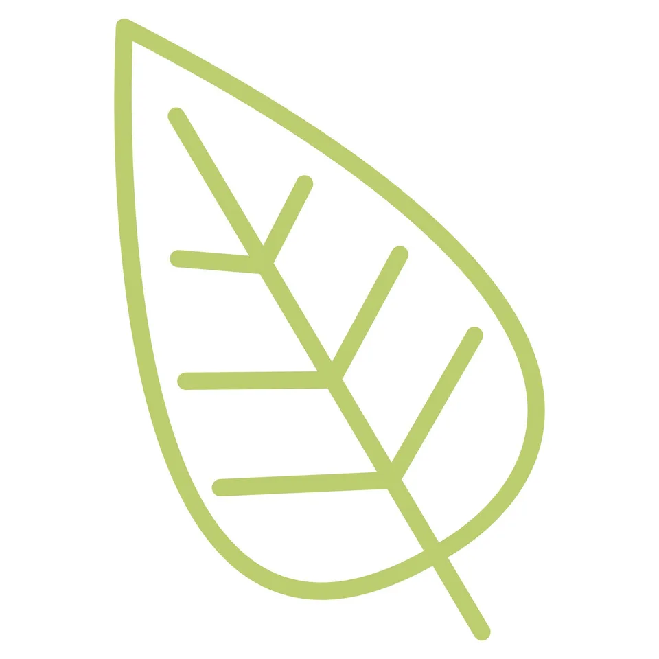 Sticker STEM, Științe Naturale - Biologie, set F5, 50 cm, sticker 5