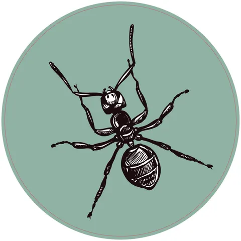 Sticker STEM, Științe naturale - Biologie, set F6, 50 cm, sticker 2