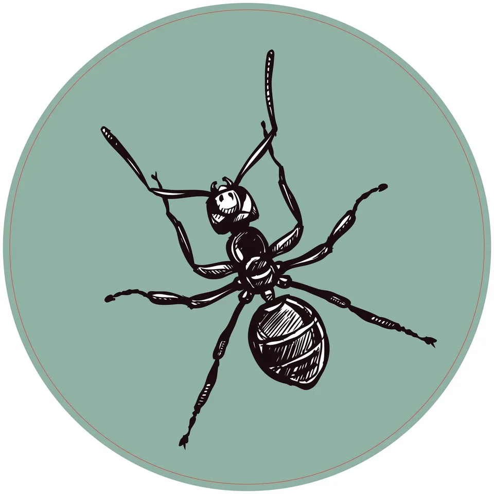 Sticker STEM, Științe naturale - Biologie, set F6, 50 cm, sticker 2