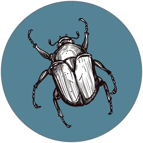 Sticker STEM, Științe Naturale - Biologie, set F6, 50 cm, sticker 4