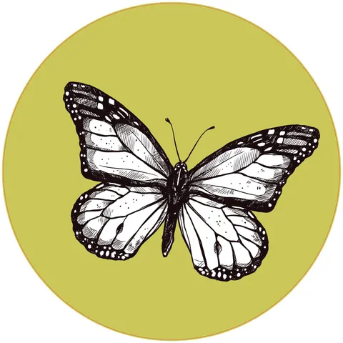 Autocolant STEM, Științe Naturale - Biologie, Set F6, 50 cm, Autocolant 5
