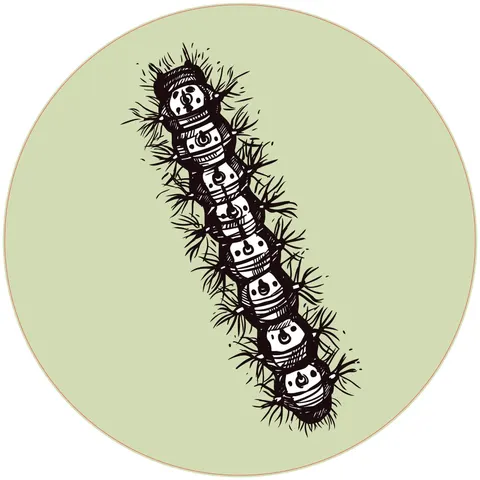 Sticker STEM, Științe Naturale - Biologie, set F6, 50 cm, sticker 6