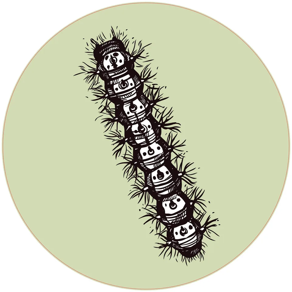 Sticker STEM, Științe Naturale - Biologie, set F6, 50 cm, sticker 6