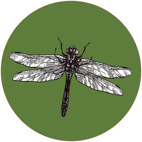 Autocolant STEM, Științe Naturale - Biologie, set F6, 50 cm, autocolant 7