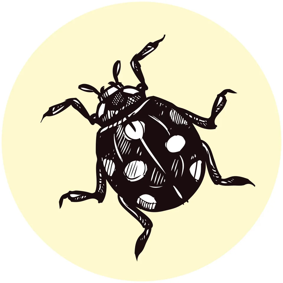 Sticker STEM, Științe Naturale - Biologie, set F6, 50 cm, sticker 8