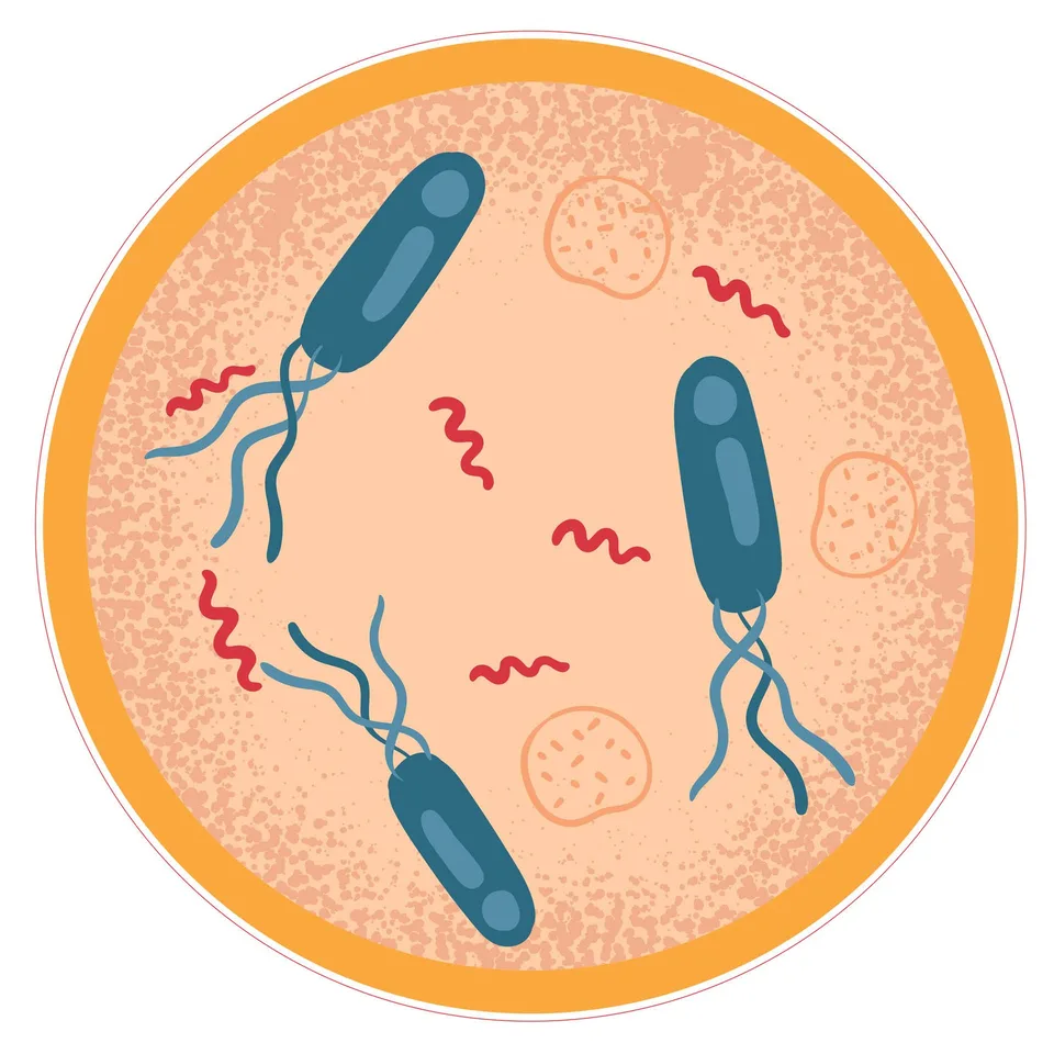 Sticker STEM, Științe Naturale - Biologie, Set F7, 50 cm, Sticker 3