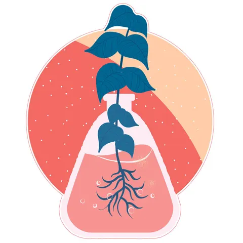Sticker STEM, științe naturale - Biologie, set F7, 50 cm, sticker 10