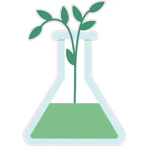 Sticker STEM, Științe naturale - Biologie, set F8, 50 cm, sticker 1