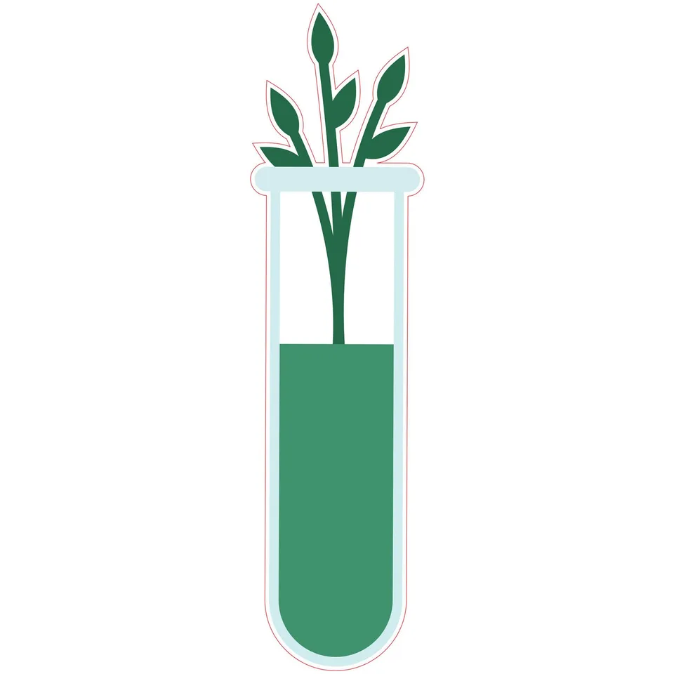 Sticker STEM, Științe Naturale – Biologie, set F8, 50 cm, sticker 2
