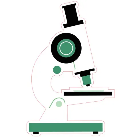 Sticker STEM, Științe Naturale – Biologie, set F8, 50 cm, sticker 3
