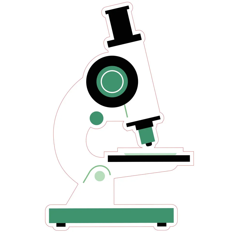 Sticker STEM, Științe Naturale – Biologie, set F8, 50 cm, sticker 3