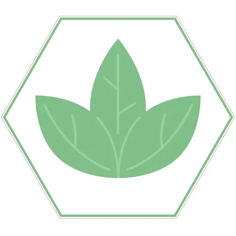 Sticker STEM, Științe Naturale – Biologie, set F8, 50 cm, sticker 5