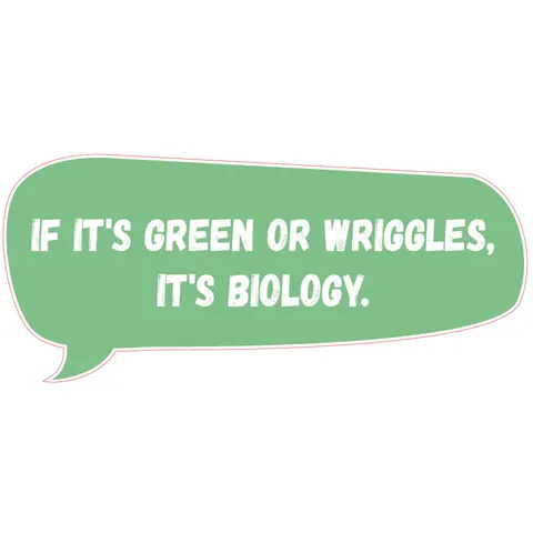 Sticker STEM, Științe Naturale - Biologie, set F8, 50 cm, sticker 10