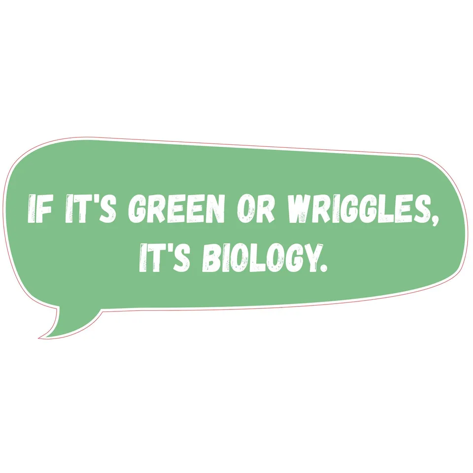 Sticker STEM, Științe Naturale - Biologie, set F8, 50 cm, sticker 10