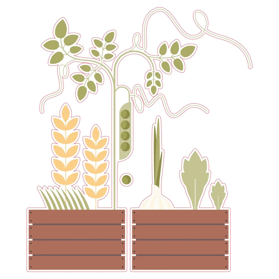 Sticker STEM, Științe Naturale – Biologie, set F10, 50 cm, sticker 3