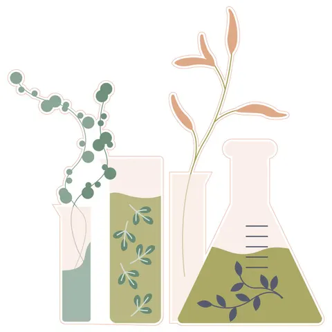 Sticker STEM, Științe Naturale - Biologie, Set F10, 50 cm, Sticker 4