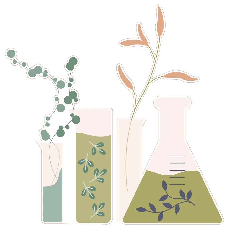 Sticker STEM, Științe Naturale - Biologie, Set F10, 50 cm, Sticker 4