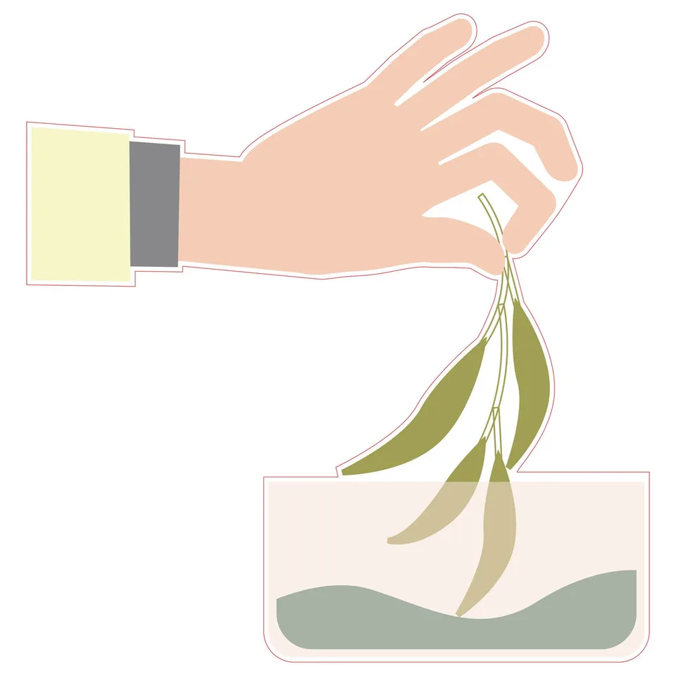 Sticker STEM, Științe Naturale - Biologie, set F10, 50 cm, sticker 7