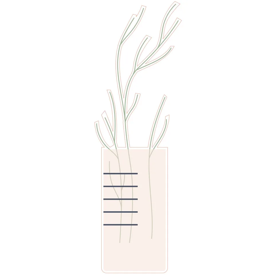 Sticker STEM, Științe Naturale – Biologie, set F10, 50 cm, sticker 8
