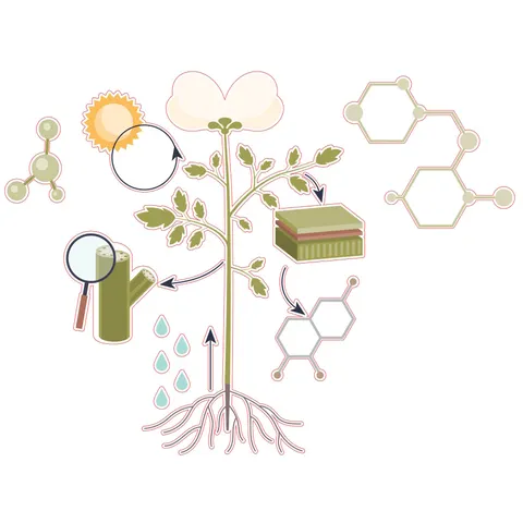 Sticker STEM, Științe Naturale - Biologie, Set F10, 50 cm, Sticker 10