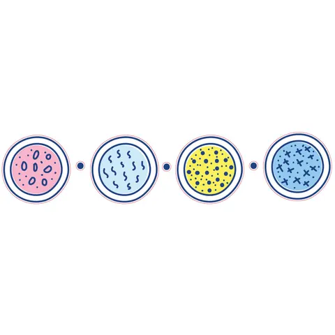 Sticker STEM, Științe Naturale - Chimie, set H1, 50 cm, sticker 9