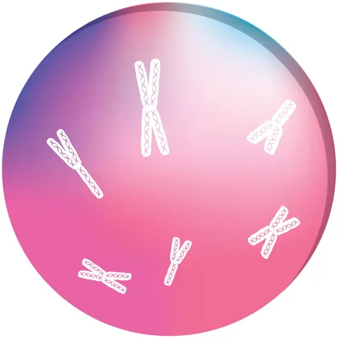 Sticker STEM, Științe Naturale - Chimie, set H7, 50 cm, sticker 8