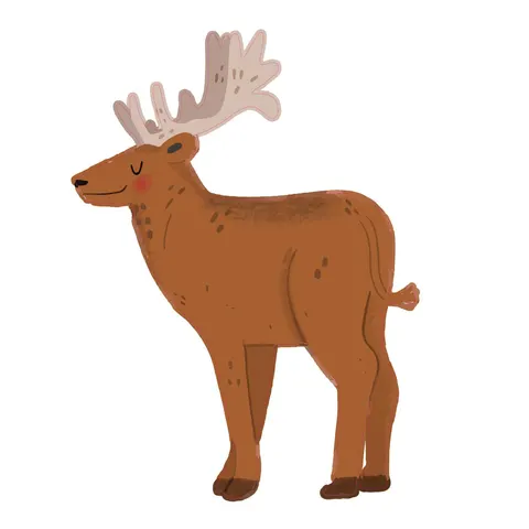 STEM Sticker, Pentru cei mai mici, Set P2, 50 cm, Sticker 3