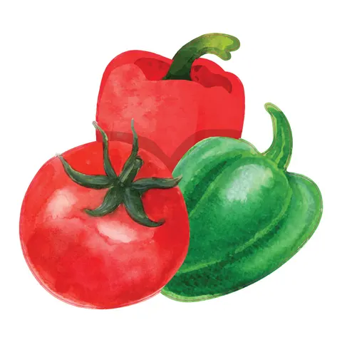 Sticker STEM, Pentru cei mici, set P5, 50 cm, sticker 5