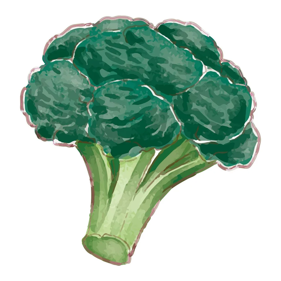 Sticker STEM, Pentru cei mici, set P5, 50 cm, sticker 8