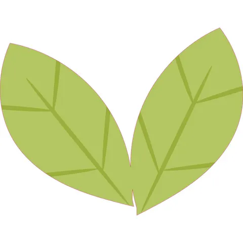 Sticker STEM, Tehnologii verzi și dezvoltare durabilă, set C3, 80 cm, sticker 2