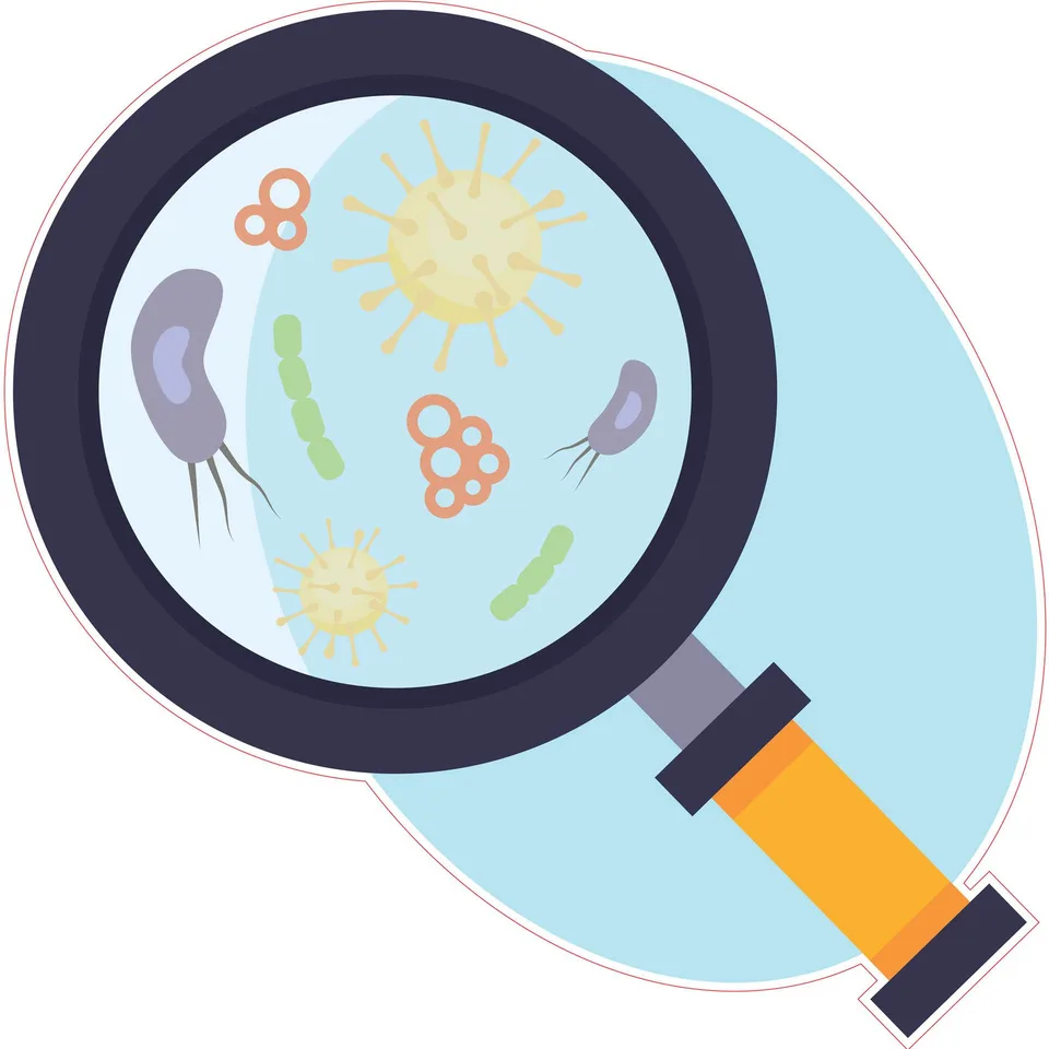 Sticker STEM, Științe Naturale - Biologie, set F1, 80 cm, sticker 3