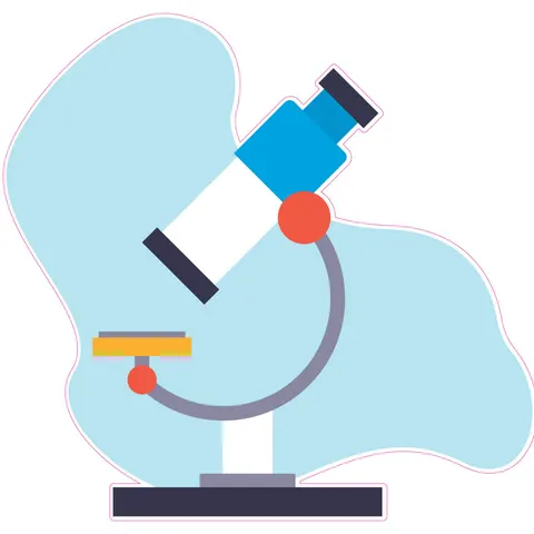 Sticker STEM, Științe Naturale – Biologie, Set F1, 80 cm, Sticker 4