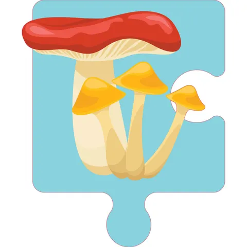 Sticker STEM, Științe Naturale - Biologie, set F3, 80 cm, sticker 1